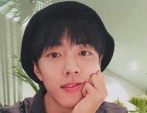 吃瓜明星黑料 黑料是什么意思,明星黑料背后的真相与影响