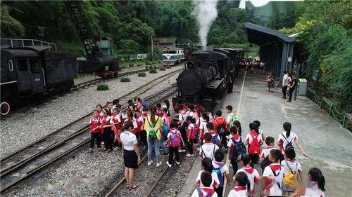 网红黑料 911爆料大揭秘,911爆料事件深度剖析